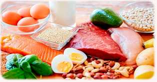 The benefits of a protein diet